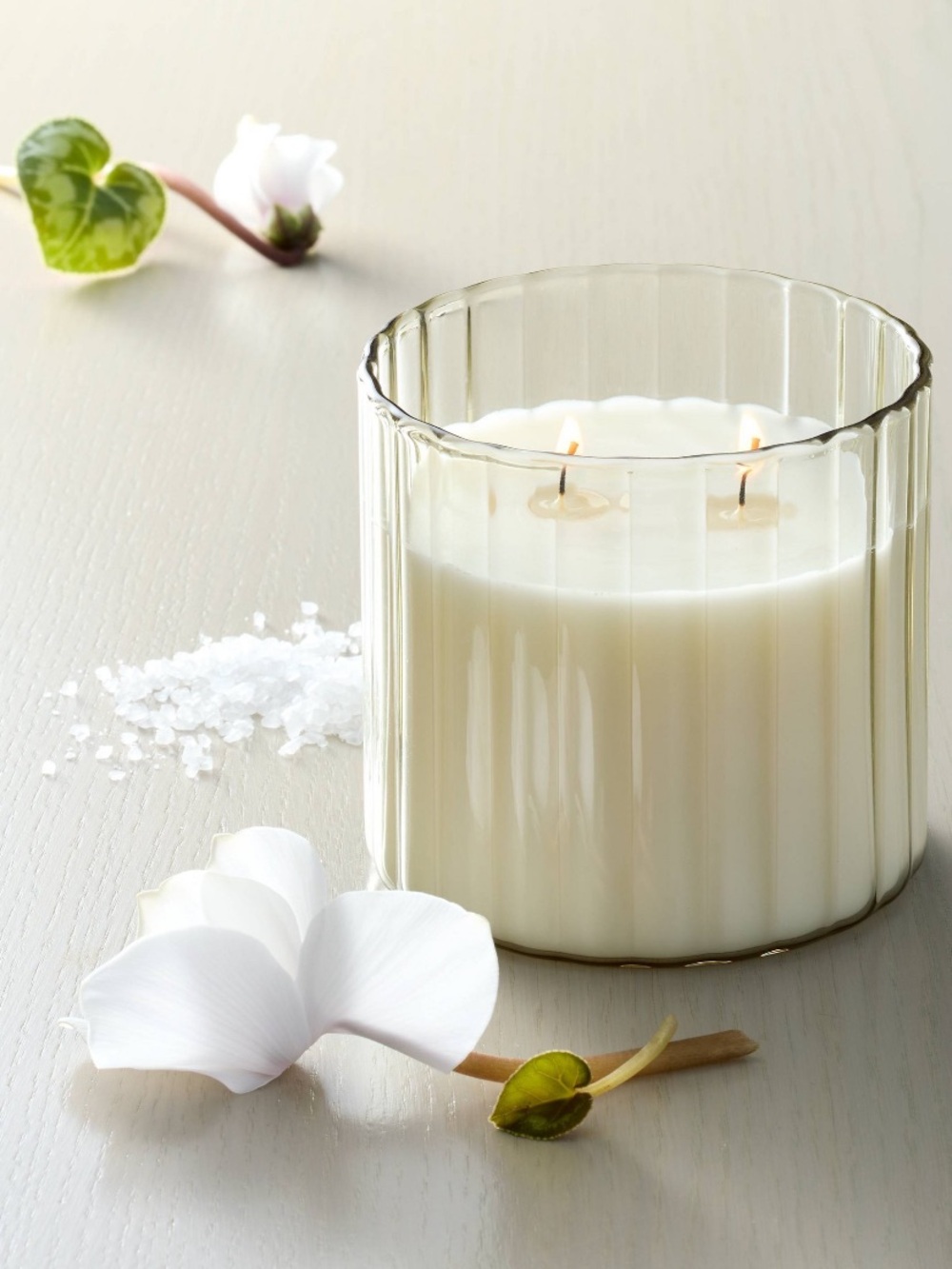 Hearth and Hand Sea Salt 2 wick Scented Candle in Ribbed Glass